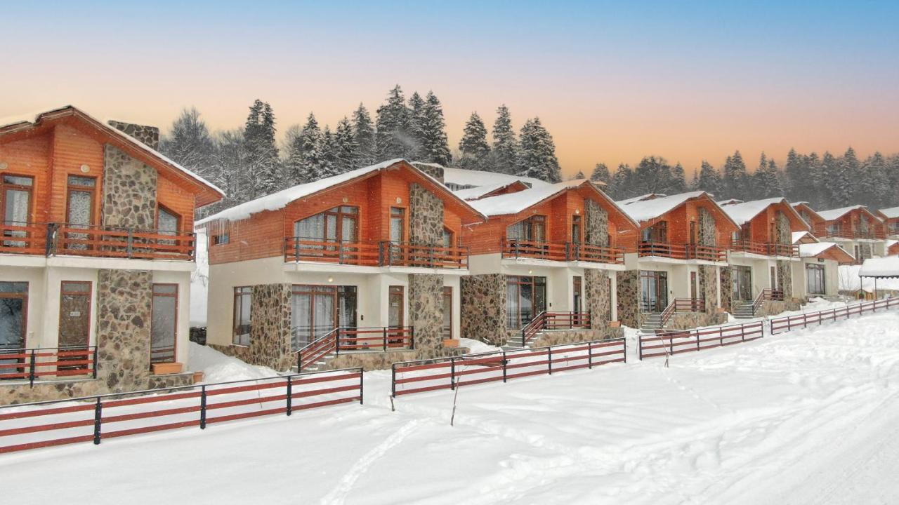 Villa Mtashi 바쿠리아니 외부 사진