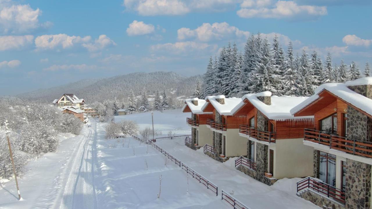 Villa Mtashi 바쿠리아니 외부 사진