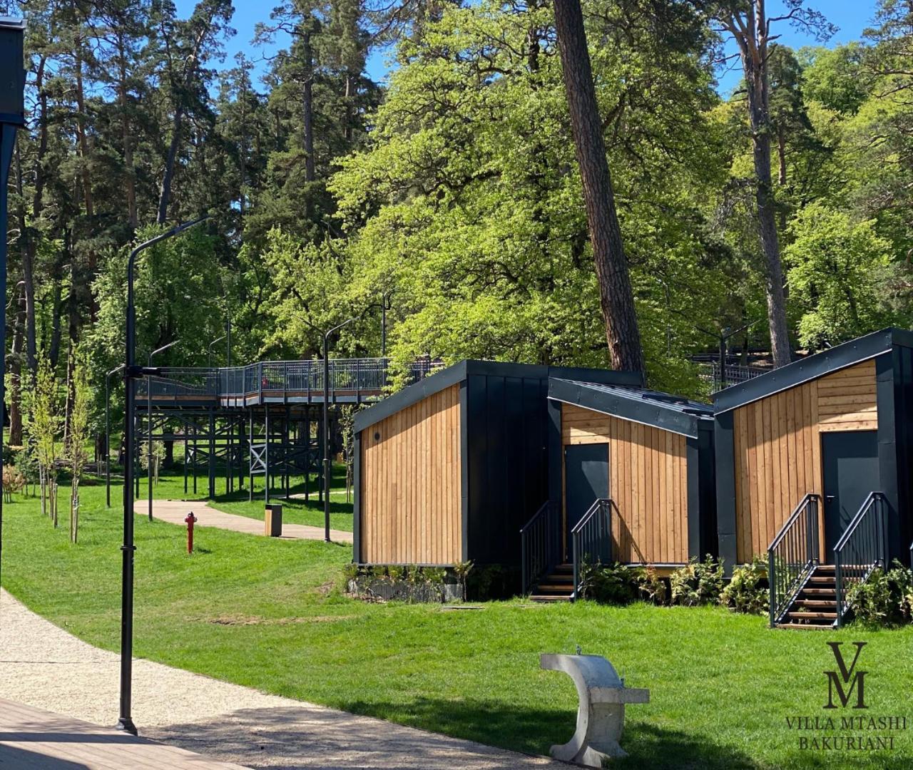 Villa Mtashi 바쿠리아니 외부 사진