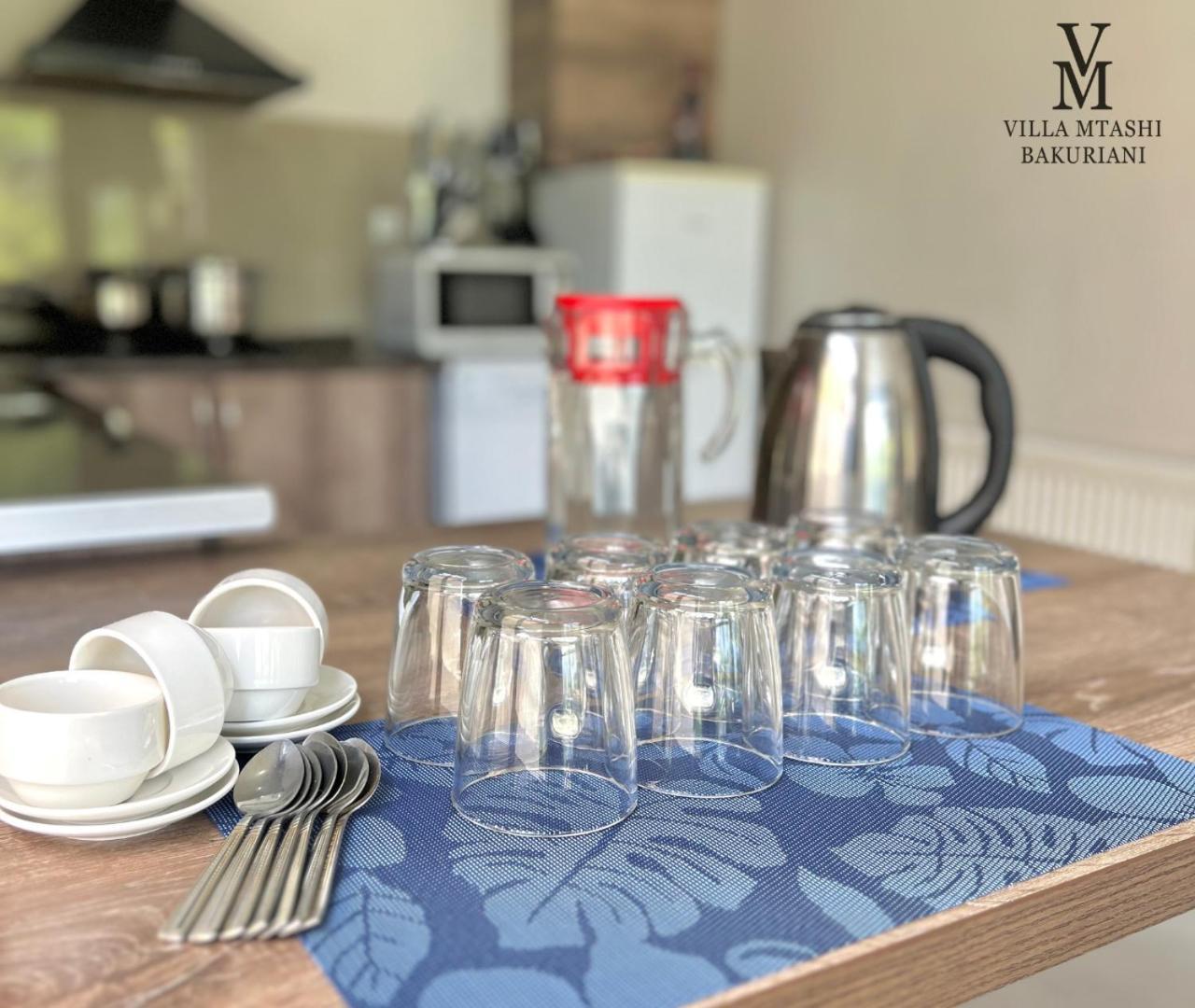 Villa Mtashi 바쿠리아니 외부 사진
