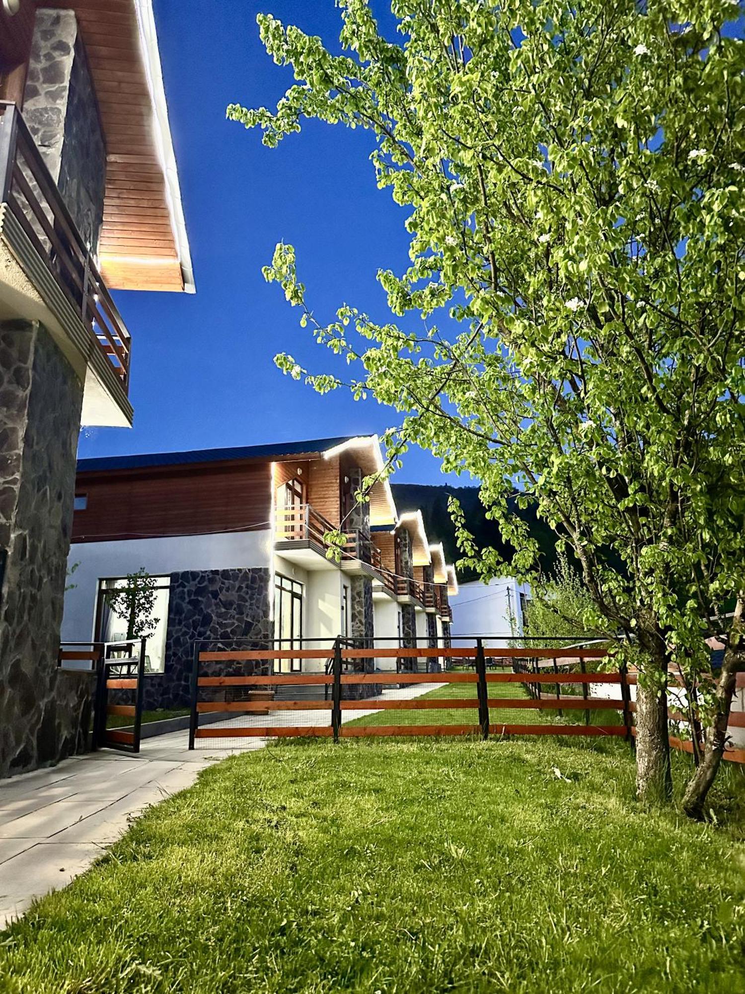Villa Mtashi 바쿠리아니 외부 사진